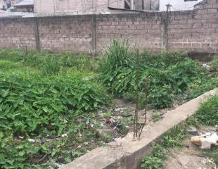 Terrain vide 17msur20 à Mimoza 35.000$US